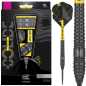 Preview: Target Bolide Void 03 SWISS Point