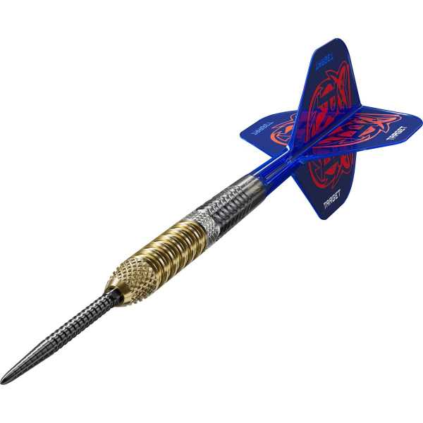 Target Raymond van Barneveld G6 SWISS
