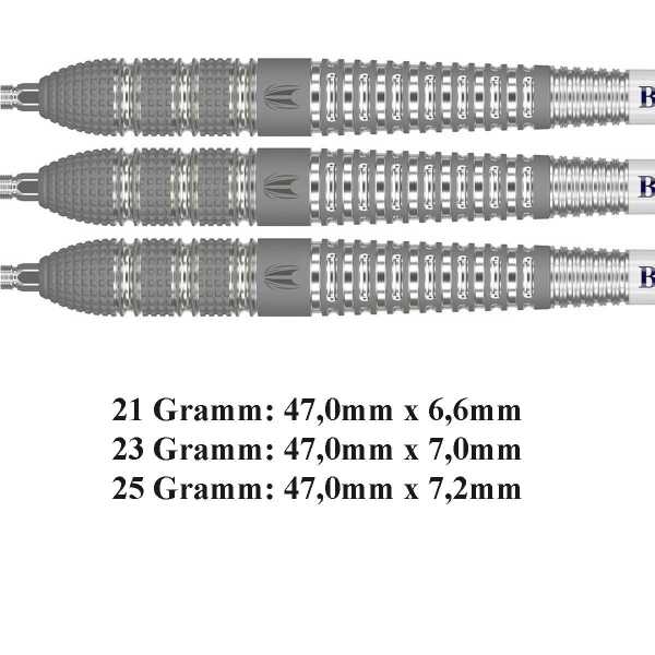 Target Raymond van Barneveld 25 SWISS