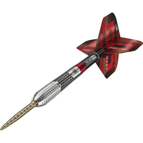Target Stephen Bunting G5 SWISS