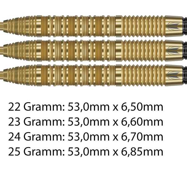 Target Bolide Envy 01 SWISS