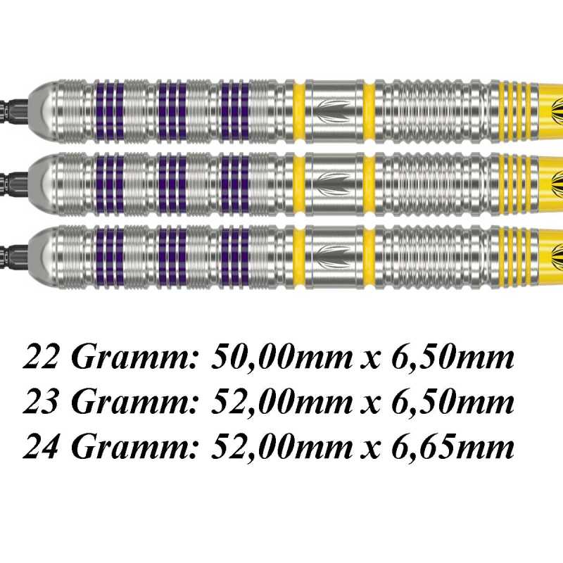 Target Luke Littler Loadout SWISS