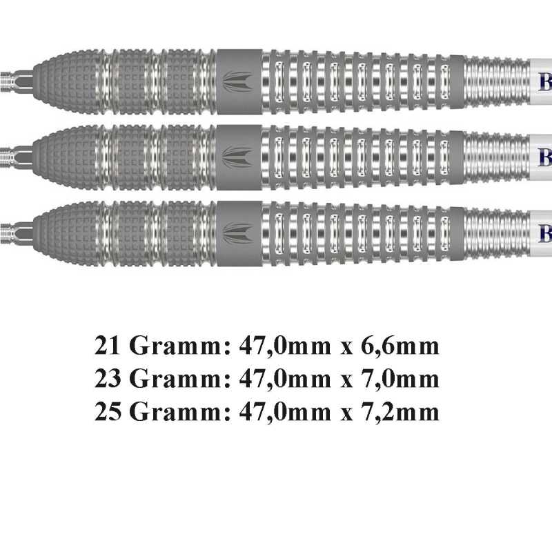 Target Raymond van Barneveld 25 SWISS
