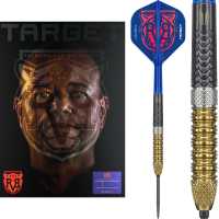Target Raymond van Barneveld G6 SWISS